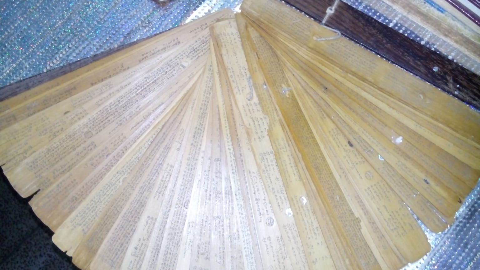 Authentic Palm Leaf Reading & Predictions