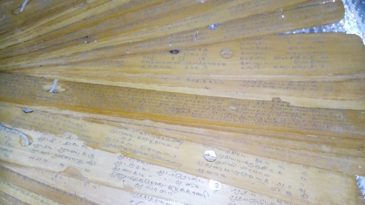 Traditional Nadi Jyotish Manuscripts
