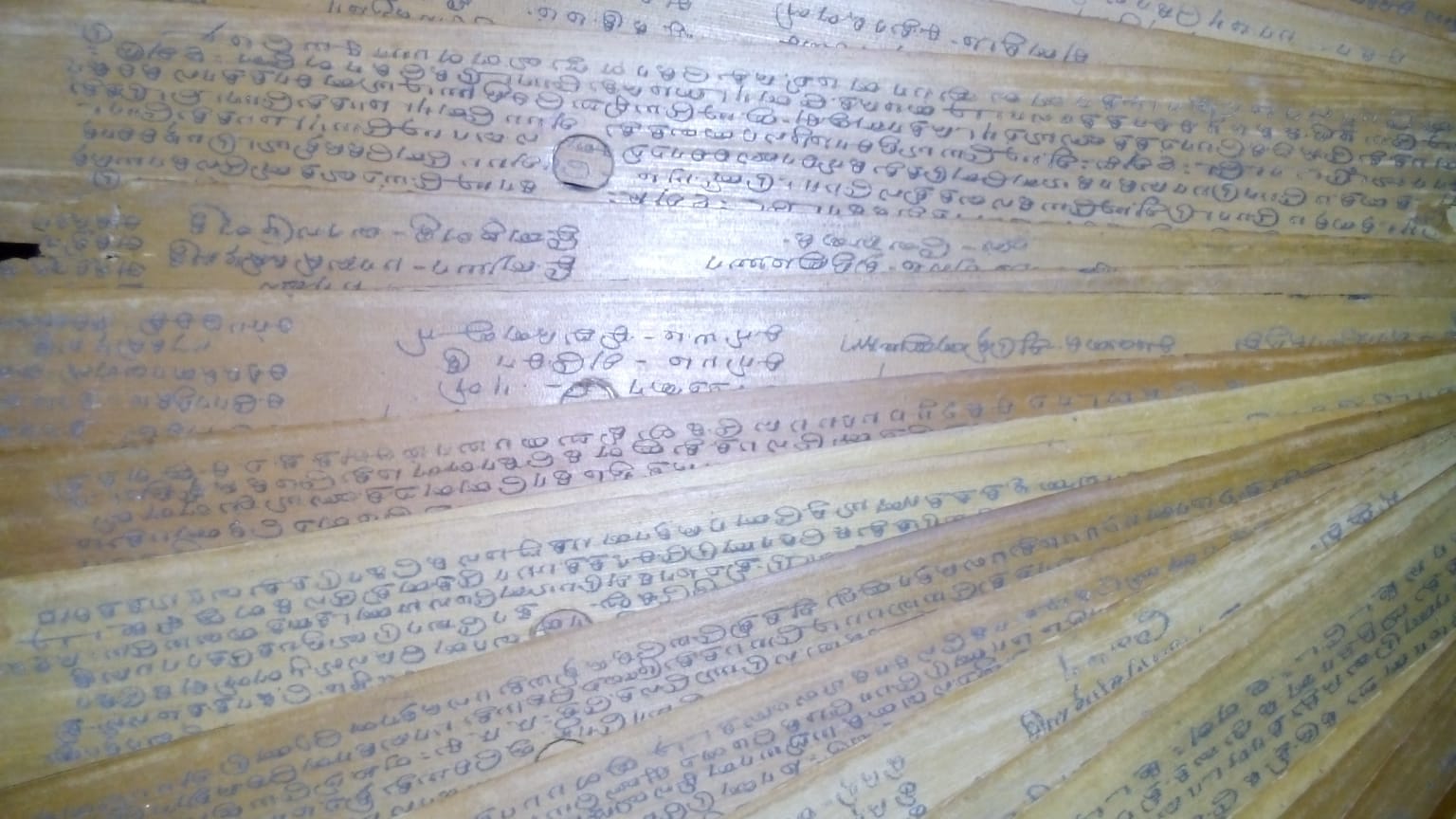 Vaitheeswaran Koil Nadi Palm Leaf Bundles