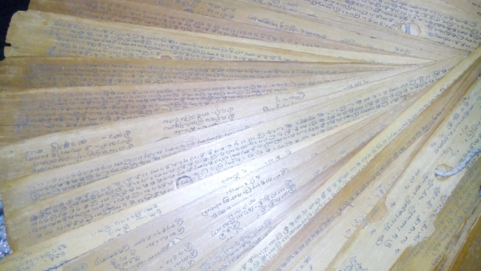 Ancient Nadi Palm Leaves & Vatteluttu Script