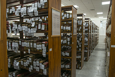 Agasthiya Mahasiva Nadi Archival Reading